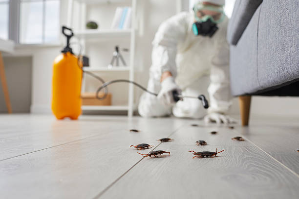 Post-Treatment Bed Bug Interceptor Monitoring in Chetek