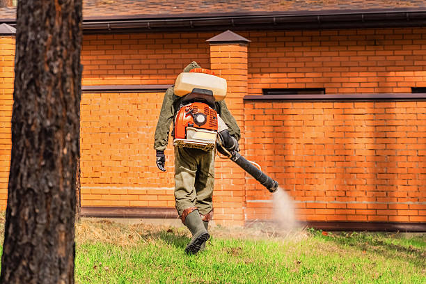 Bed Bug Clearance Verification and Documentation in Chetek